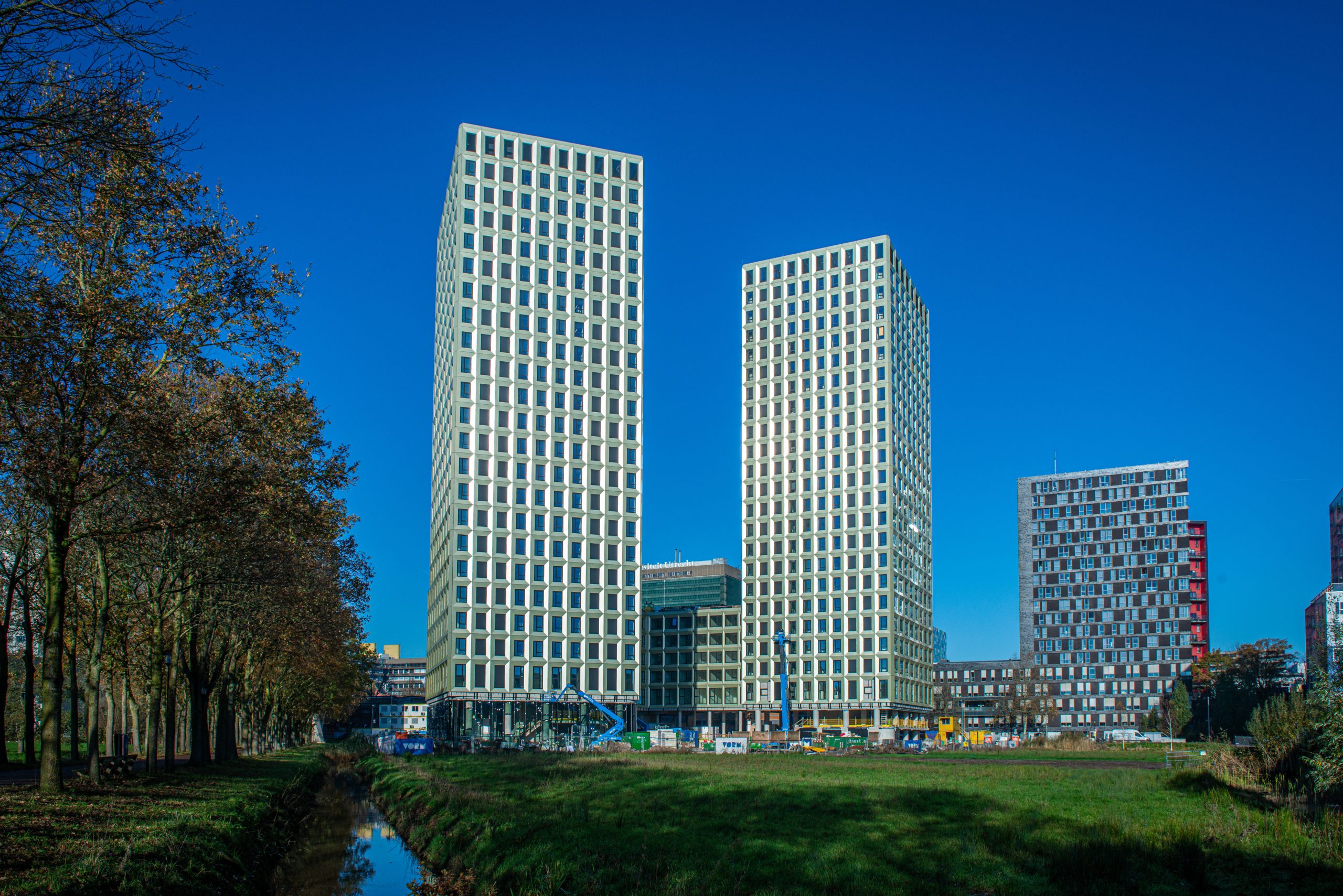 Featured image for “High Five”