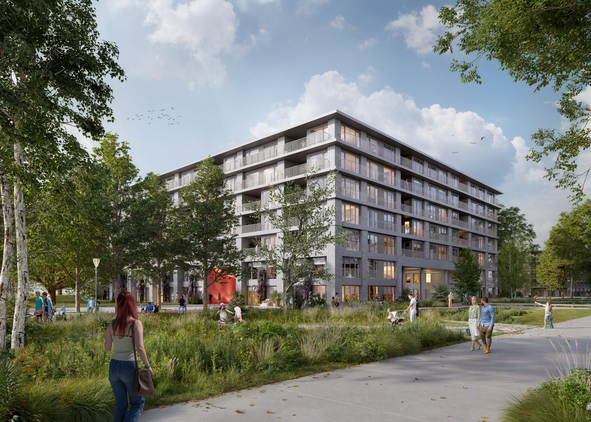 Pacedo project “BLOSSEM”